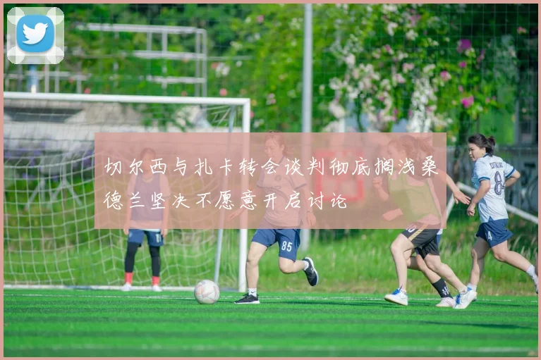 切尔西与扎卡转会谈判彻底搁浅桑德兰坚决不愿意开启讨论